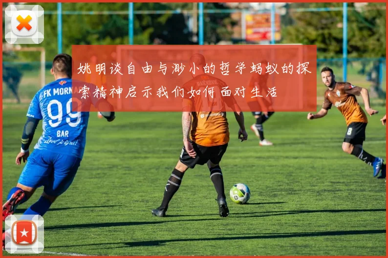姚明谈自由与渺小的哲学蚂蚁的探索精神启示我们如何面对生活