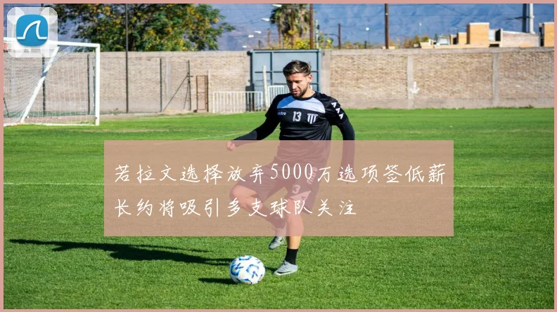 若拉文选择放弃5000万选项签低薪长约将吸引多支球队关注